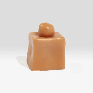 Ann vincent Fonz Candle