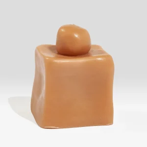 Ann vincent Fonz Candle