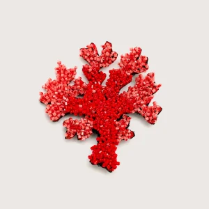 Trovelore Coral Brooch